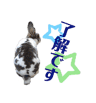 MINIREXのぱぴぷぺぽ＋（個別スタンプ：20）