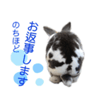 MINIREXのぱぴぷぺぽ＋（個別スタンプ：21）