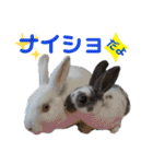 MINIREXのぱぴぷぺぽ＋（個別スタンプ：23）