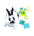 MINIREXのぱぴぷぺぽ＋（個別スタンプ：24）