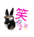 MINIREXのぱぴぷぺぽ＋（個別スタンプ：29）