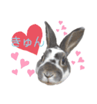 MINIREXのぱぴぷぺぽ＋（個別スタンプ：30）