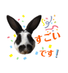 MINIREXのぱぴぷぺぽ＋（個別スタンプ：32）