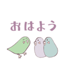 ほんわかかわいい レインボーインコさんち（個別スタンプ：9）