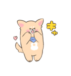 【大分】いい犬(けん)スタンプ（個別スタンプ：13）