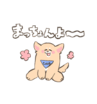 【大分】いい犬(けん)スタンプ（個別スタンプ：20）