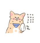 【大分】いい犬(けん)スタンプ（個別スタンプ：36）