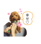 シェリースタンプ3♪（個別スタンプ：1）