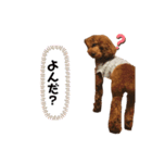 シェリースタンプ3♪（個別スタンプ：2）