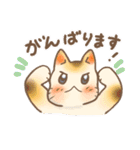 みけねこの日々（個別スタンプ：10）