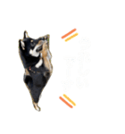 黒柴くん4（個別スタンプ：5）