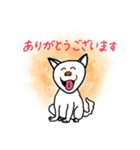 紀州犬［はなちゃん］（個別スタンプ：1）