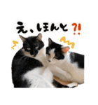 保護猫Familyスタンプ おっさんずVer（個別スタンプ：6）