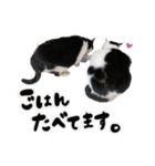 保護猫Familyスタンプ おっさんずVer（個別スタンプ：7）