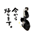 保護猫Familyスタンプ おっさんずVer（個別スタンプ：9）