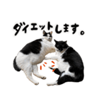 保護猫Familyスタンプ おっさんずVer（個別スタンプ：19）