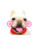 ライト動物病院ver.5（個別スタンプ：2）