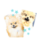 ライト動物病院ver.5（個別スタンプ：13）