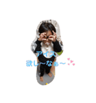 ジェイミースタンプ（個別スタンプ：17）