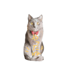 灰色のねこりつこ（個別スタンプ：17）