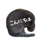 灰色のねこりつこ（個別スタンプ：25）