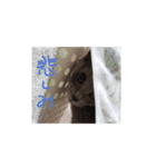 灰色のねこりつこ（個別スタンプ：30）