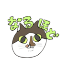 はなちゃねこのスタンプ（個別スタンプ：8）