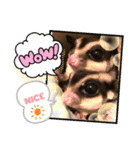 モモンガな一日（個別スタンプ：4）