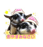 モモンガな一日（個別スタンプ：6）