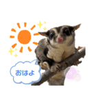モモンガな一日（個別スタンプ：8）