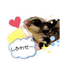 モモンガな一日（個別スタンプ：11）