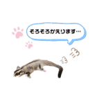 モモンガな一日（個別スタンプ：12）