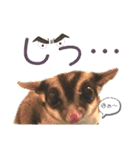 モモンガな一日（個別スタンプ：14）