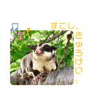 モモンガな一日（個別スタンプ：16）