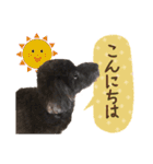 チームココ（個別スタンプ：2）