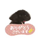 チームココ（個別スタンプ：4）