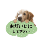 チームココ（個別スタンプ：5）