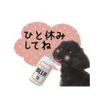 チームココ（個別スタンプ：8）