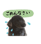 チームココ（個別スタンプ：10）