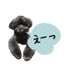チームココ（個別スタンプ：12）
