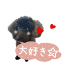 チームココ（個別スタンプ：14）