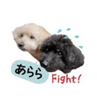 チームココ（個別スタンプ：16）