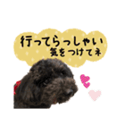 チームココ（個別スタンプ：24）