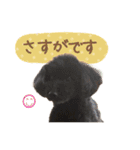 チームココ（個別スタンプ：28）
