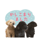 チームココ（個別スタンプ：30）