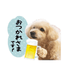 チームココ（個別スタンプ：31）