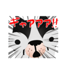 ハロハロー☆僕はBUDOG！！（個別スタンプ：16）