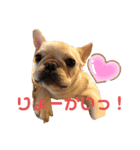 フレブルのマイル2（個別スタンプ：1）