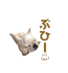 フレブルのマイル2（個別スタンプ：14）