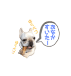 フレブルのマイル2（個別スタンプ：16）
